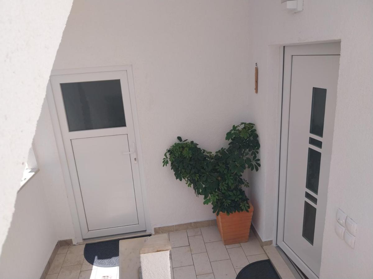 Apartmani Bonavia 젤사 외부 사진